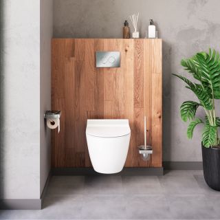 Подвесной унитаз Damixa Apollo безободковый белый DX22C1700SC